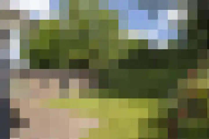 Het Nardusboer 100 Oldenzaal thumbnail 27