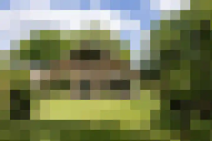Het Nardusboer 100 Oldenzaal thumbnail 29