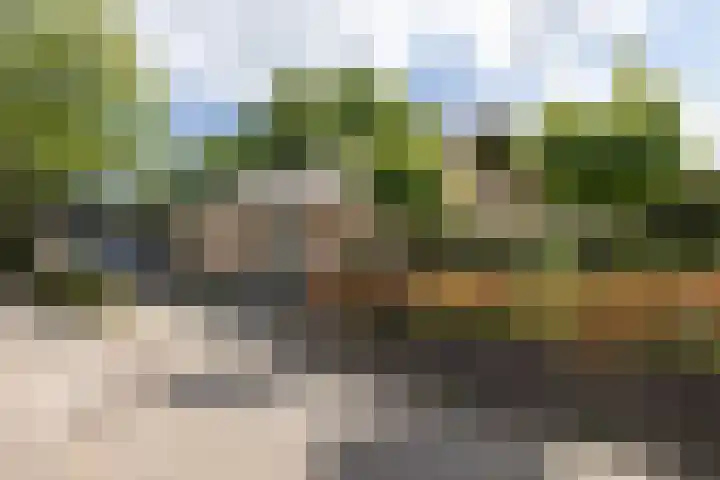 Het Nardusboer 100 Oldenzaal thumbnail 31