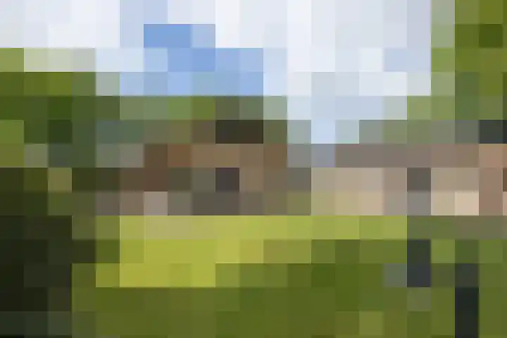 Het Nardusboer 100 Oldenzaal thumbnail 4