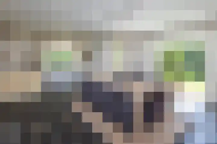Het Nardusboer 100 Oldenzaal thumbnail 7