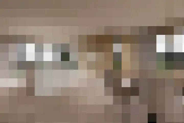 Het Nardusboer 100 Oldenzaal thumbnail 8