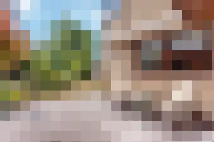 Het Nardusboer 12 Oldenzaal thumbnail 19