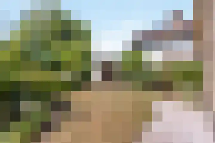 Het Nardusboer 12 Oldenzaal thumbnail 20