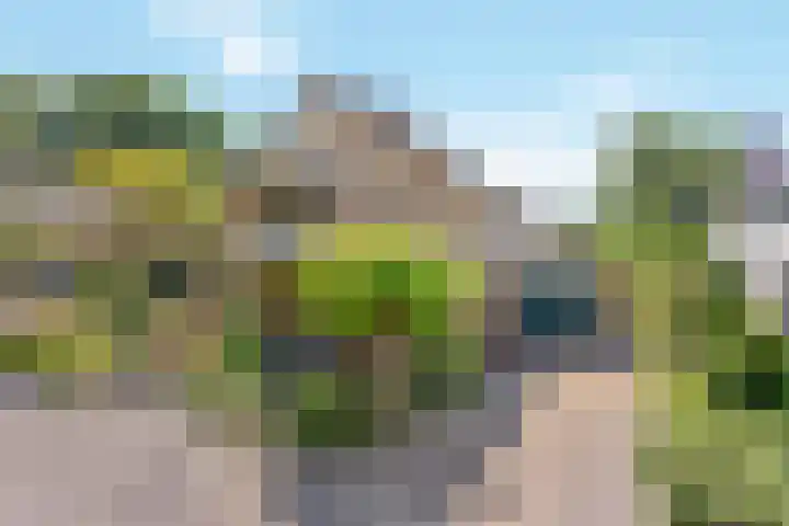 Het Nardusboer 12 Oldenzaal thumbnail 23