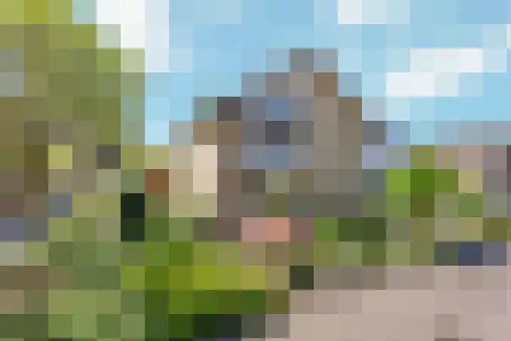 Het Nardusboer 12 Oldenzaal thumbnail 6