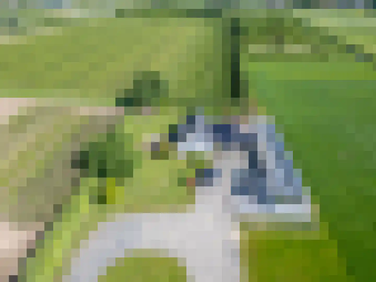 het Nevelveld Bemmel thumbnail 11