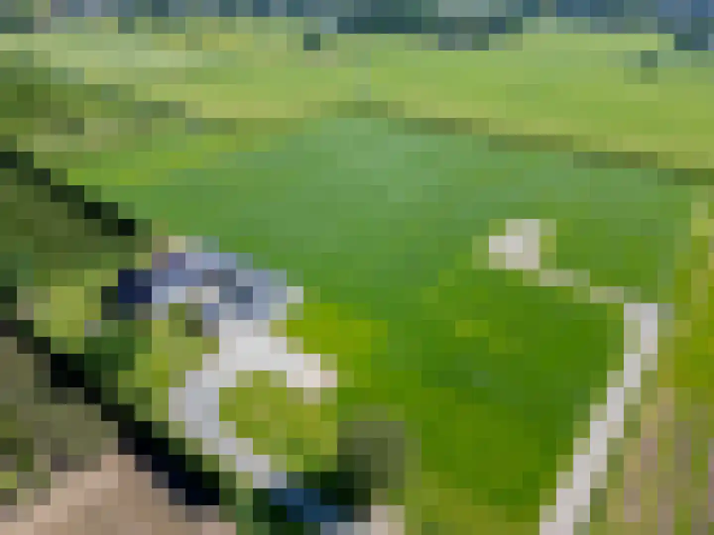 het Nevelveld Bemmel thumbnail 12