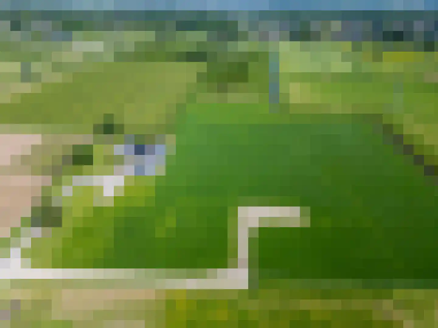 het Nevelveld Bemmel thumbnail 13