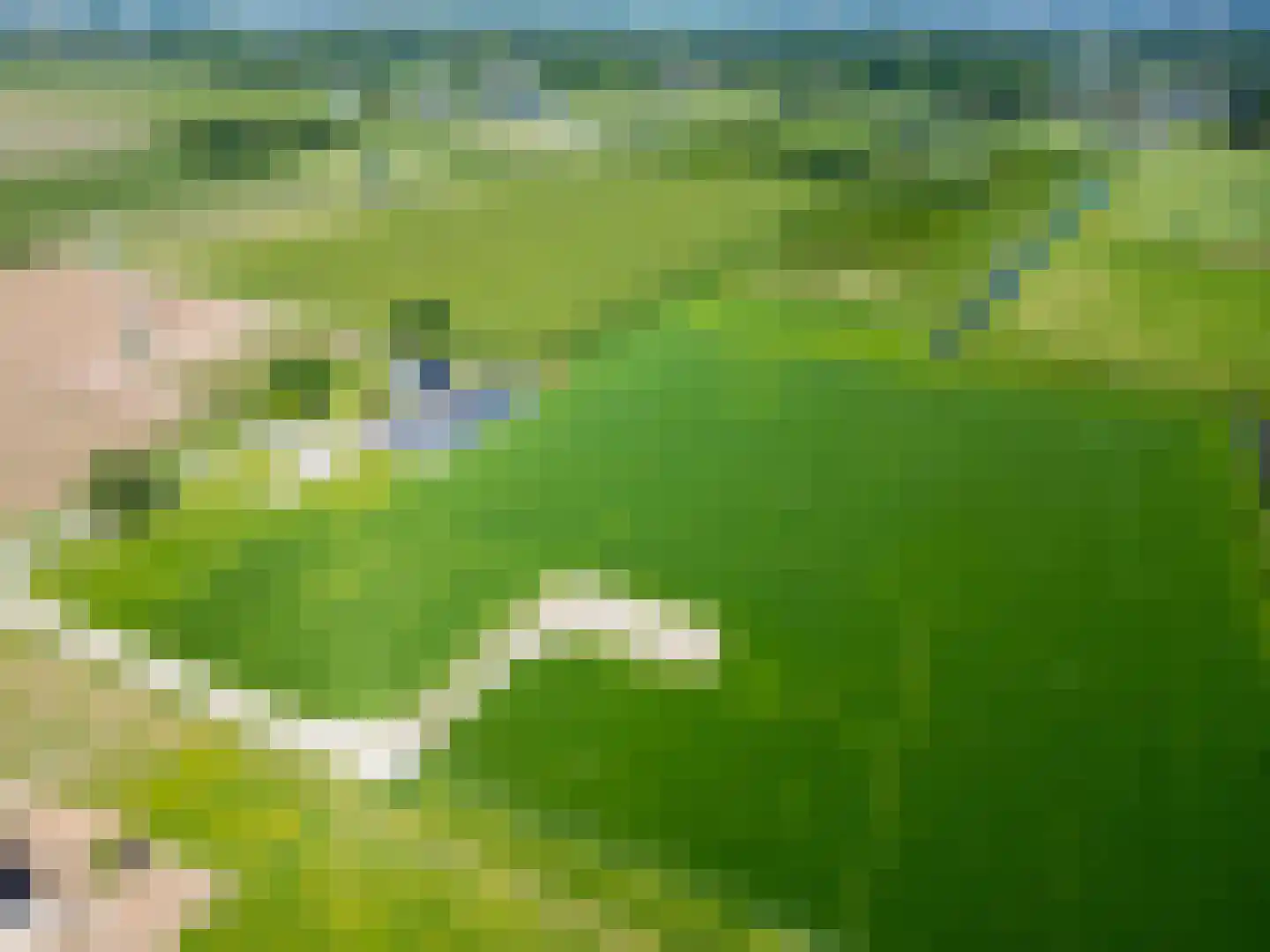 het Nevelveld Bemmel thumbnail 14