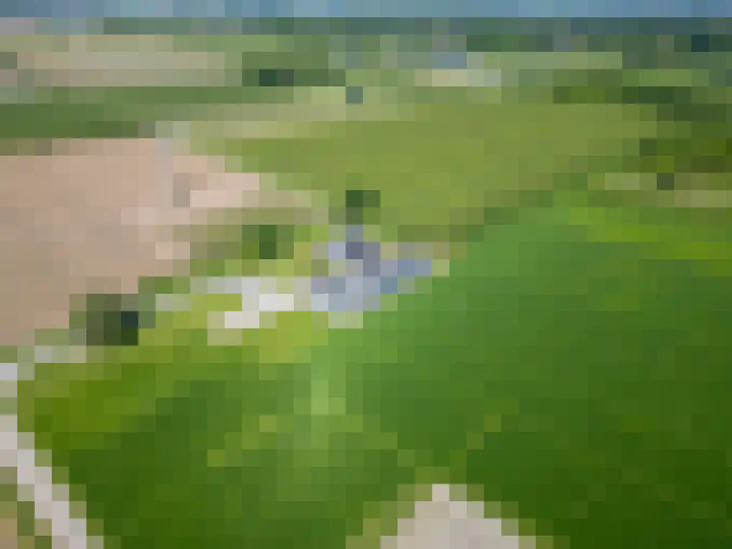 het Nevelveld Bemmel thumbnail 15