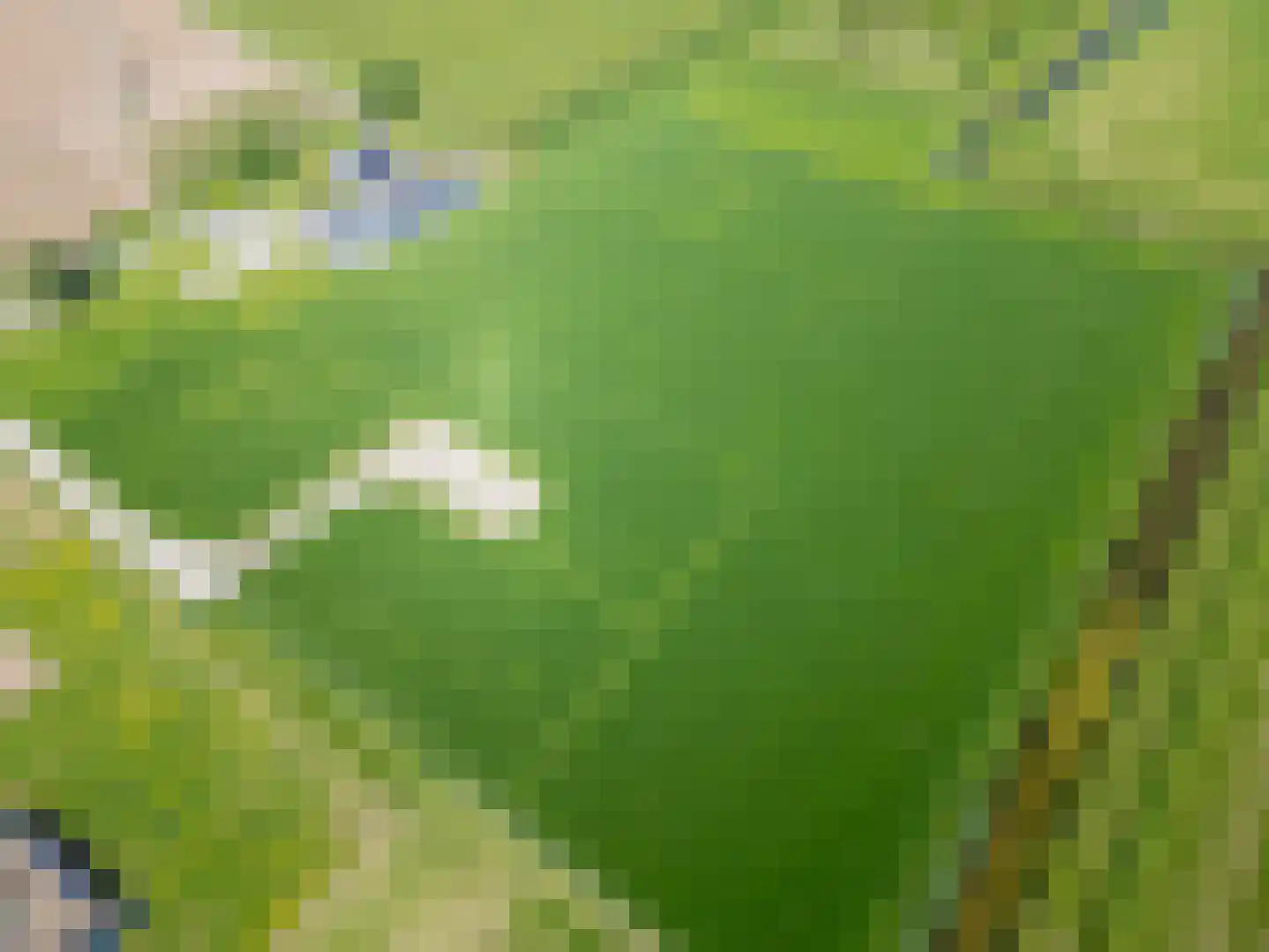 het Nevelveld Bemmel thumbnail 4