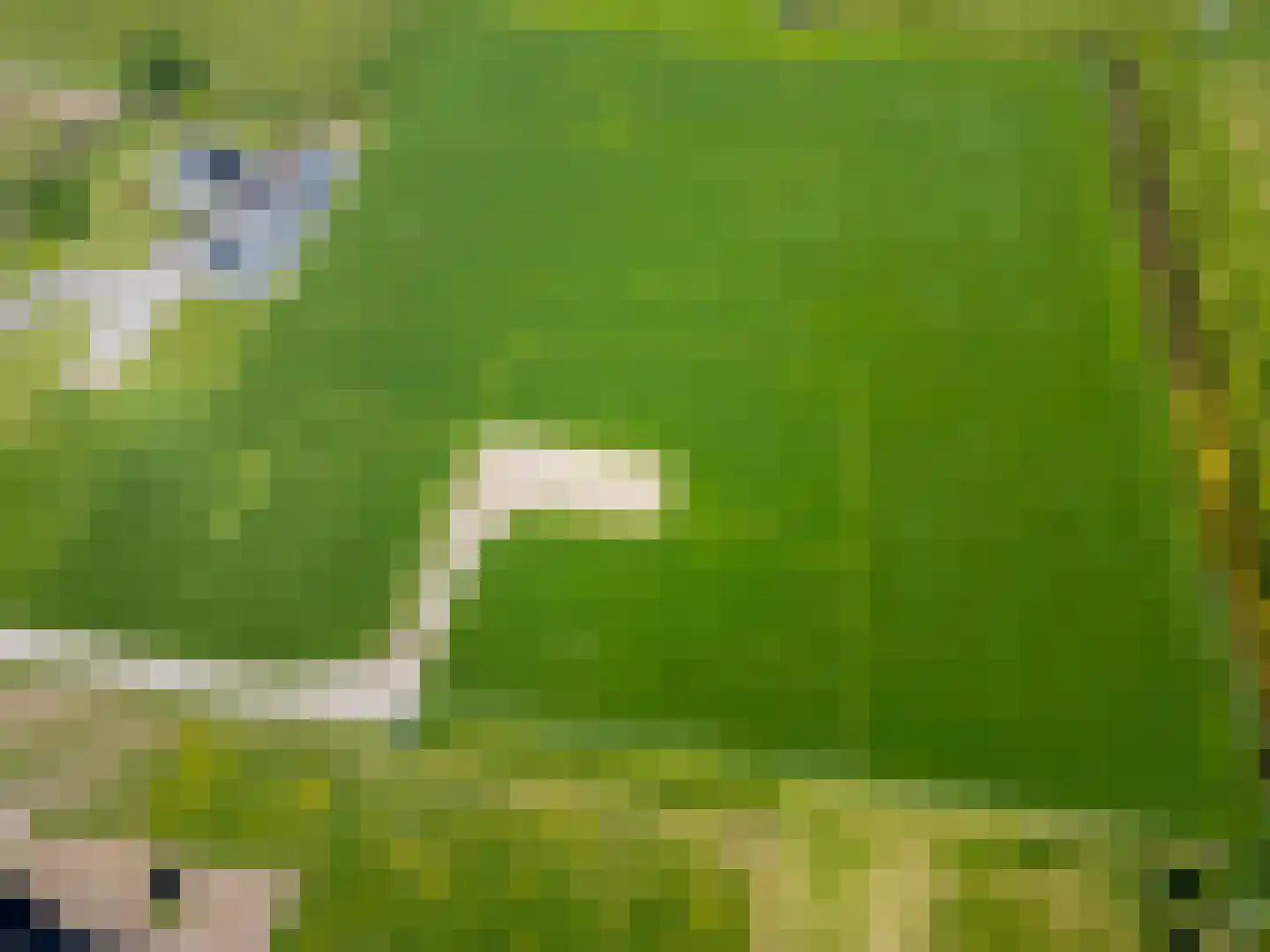 het Nevelveld Bemmel thumbnail 5
