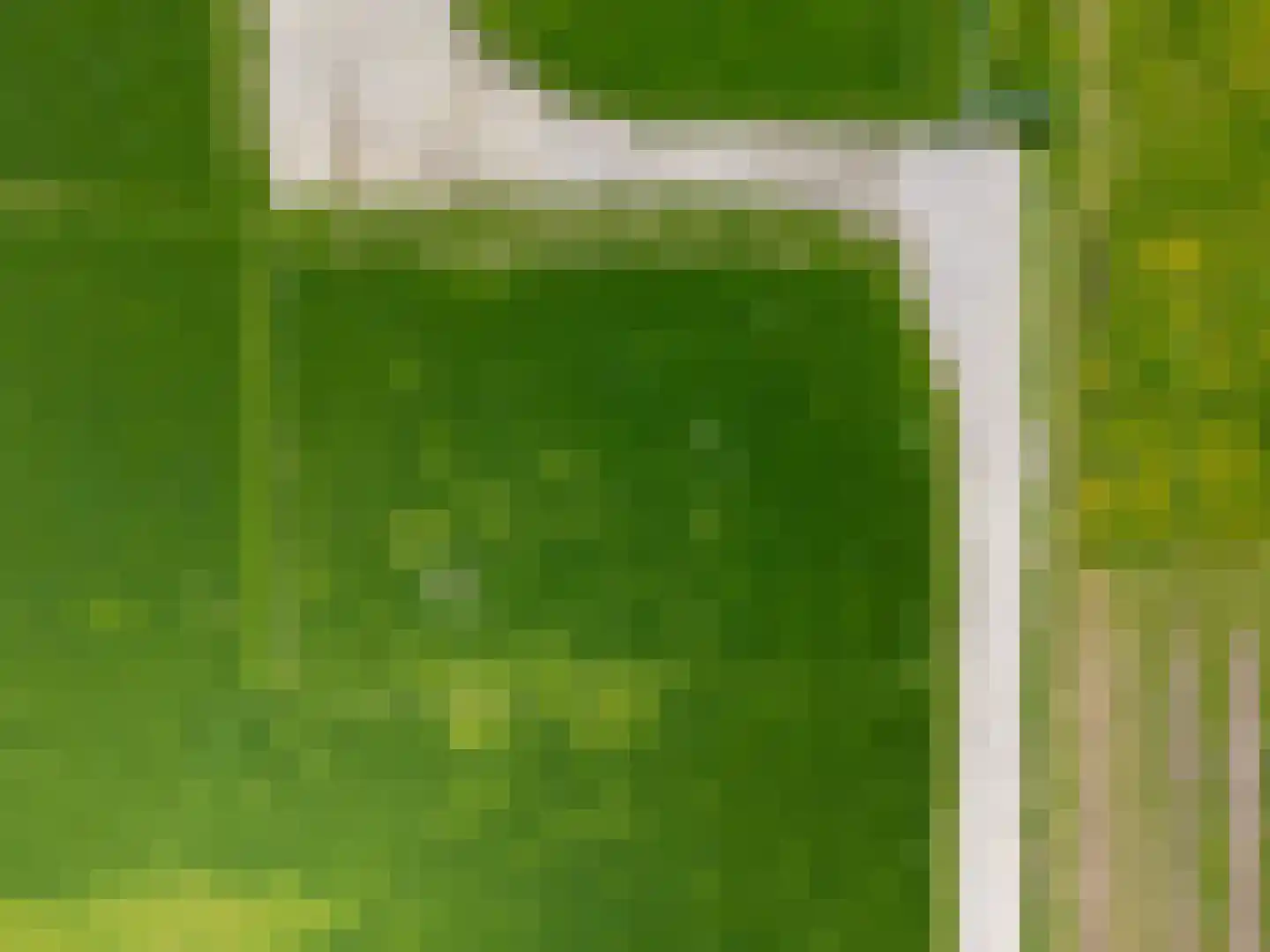 het Nevelveld Bemmel thumbnail 7