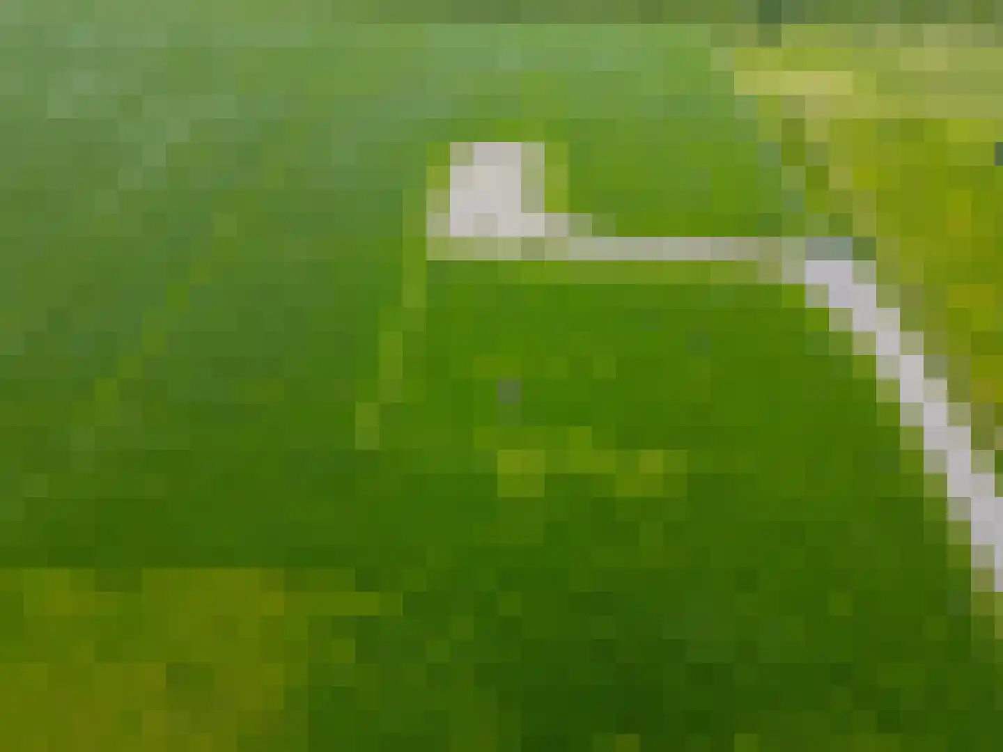 het Nevelveld Bemmel thumbnail 8
