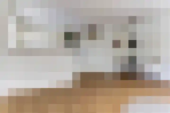 Het Nieuwe Land 101 Arnhem thumbnail 10