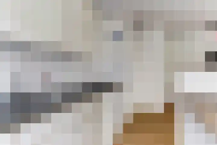 Het Nieuwe Land 101 Arnhem thumbnail 12