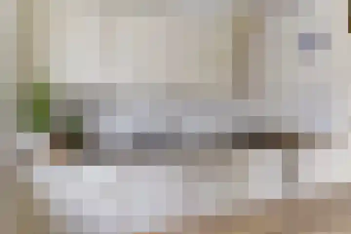 Het Nieuwe Land 101 Arnhem thumbnail 13