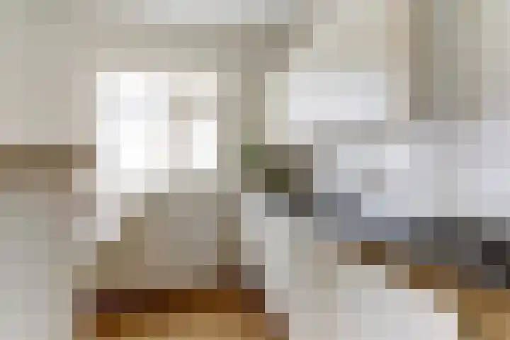 Het Nieuwe Land 101 Arnhem thumbnail 14