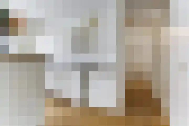 Het Nieuwe Land 101 Arnhem thumbnail 15