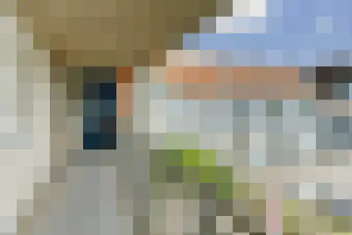 Het Nieuwe Land 101 Arnhem thumbnail 4