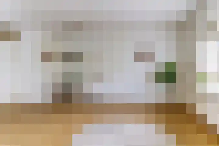 Het Nieuwe Land 101 Arnhem thumbnail 8