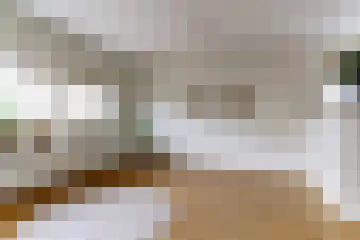 Het Nieuwe Land 101 Arnhem thumbnail 9