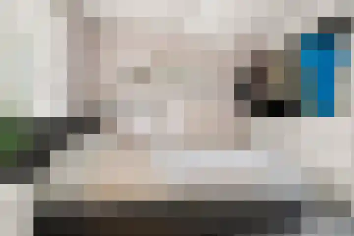 Het Nieuwe Land 15 Arnhem thumbnail 13