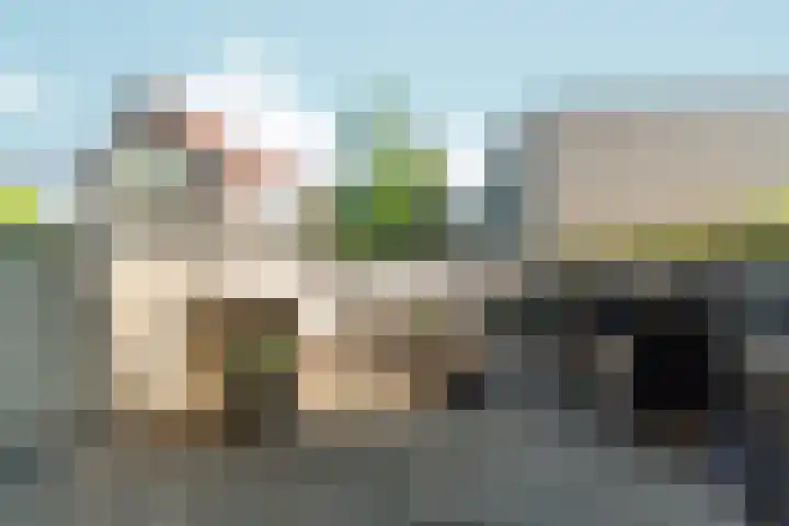 Het Nieuwe Land 15 Arnhem thumbnail 18