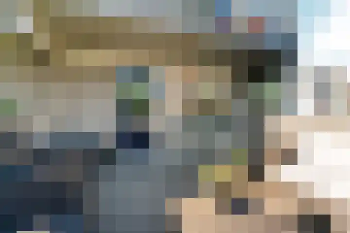 Het Nieuwe Land 15 Arnhem thumbnail 19