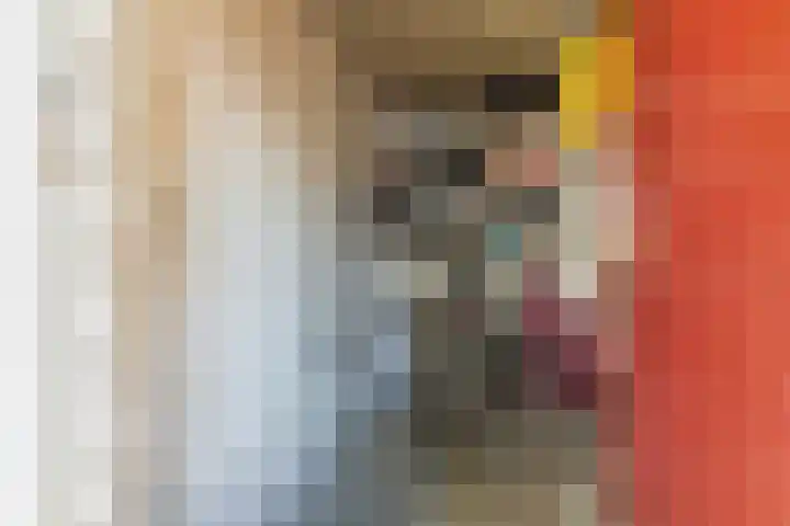 Het Nieuwe Land 15 Arnhem thumbnail 21