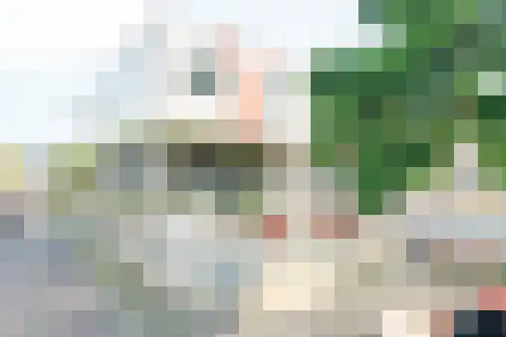 Het Nieuwe Land 15 Arnhem thumbnail 23