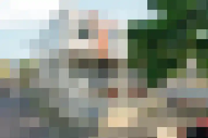Het Nieuwe Land 15 Arnhem thumbnail 24