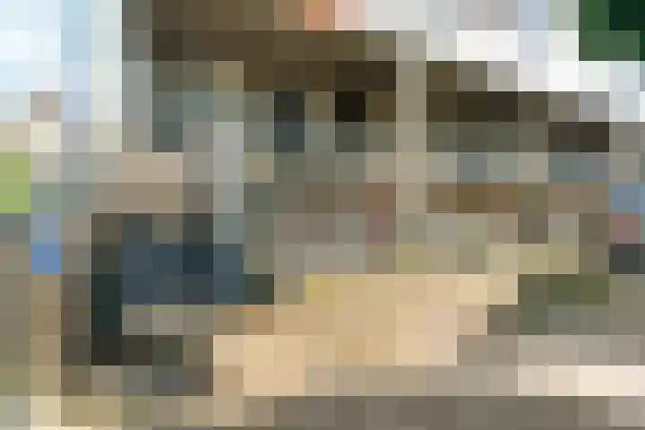 Het Nieuwe Land 15 Arnhem thumbnail 25