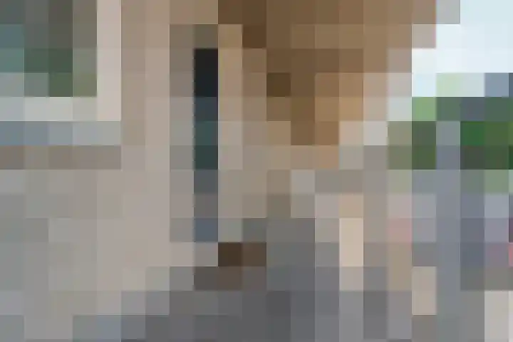 Het Nieuwe Land 15 Arnhem thumbnail 26