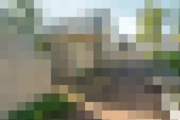 Het Nieuwe Land 15 Arnhem thumbnail 29