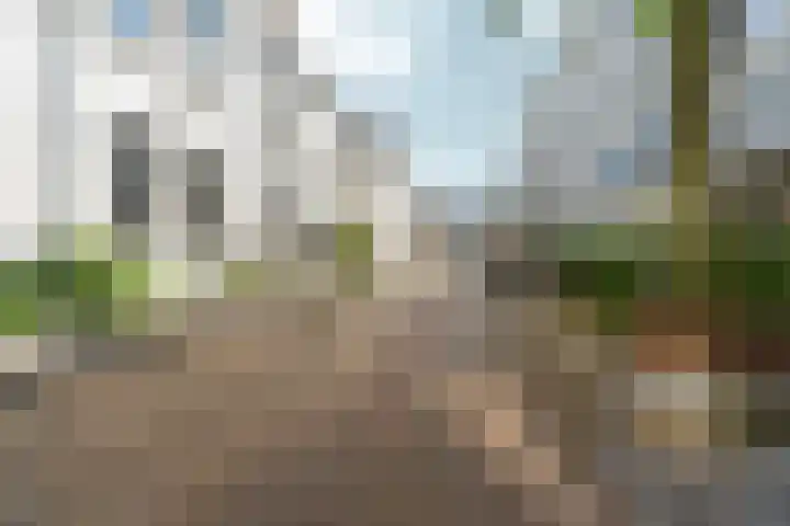 Het Nieuwe Land 15 Arnhem thumbnail 30