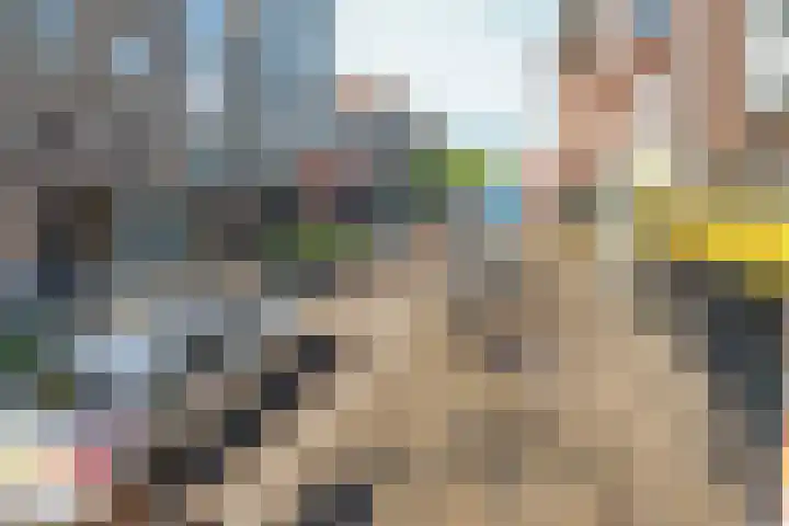 Het Nieuwe Land 15 Arnhem thumbnail 32
