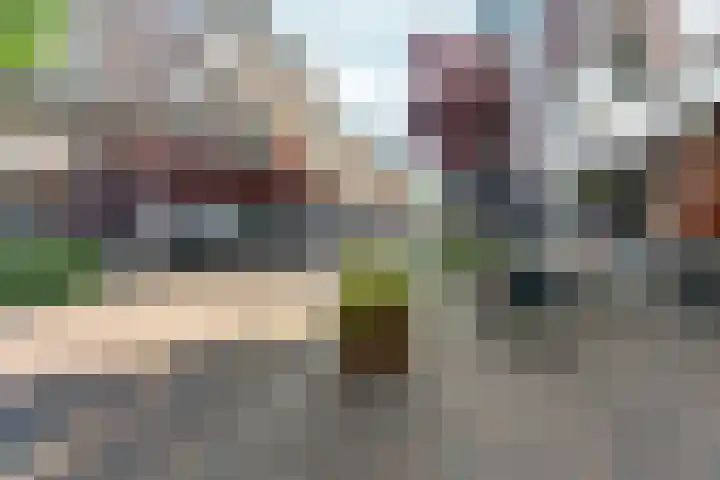Het Nieuwe Land 15 Arnhem thumbnail 33