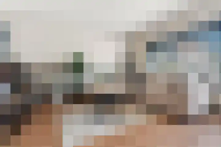 Het Nieuwe Land 15 Arnhem thumbnail 4