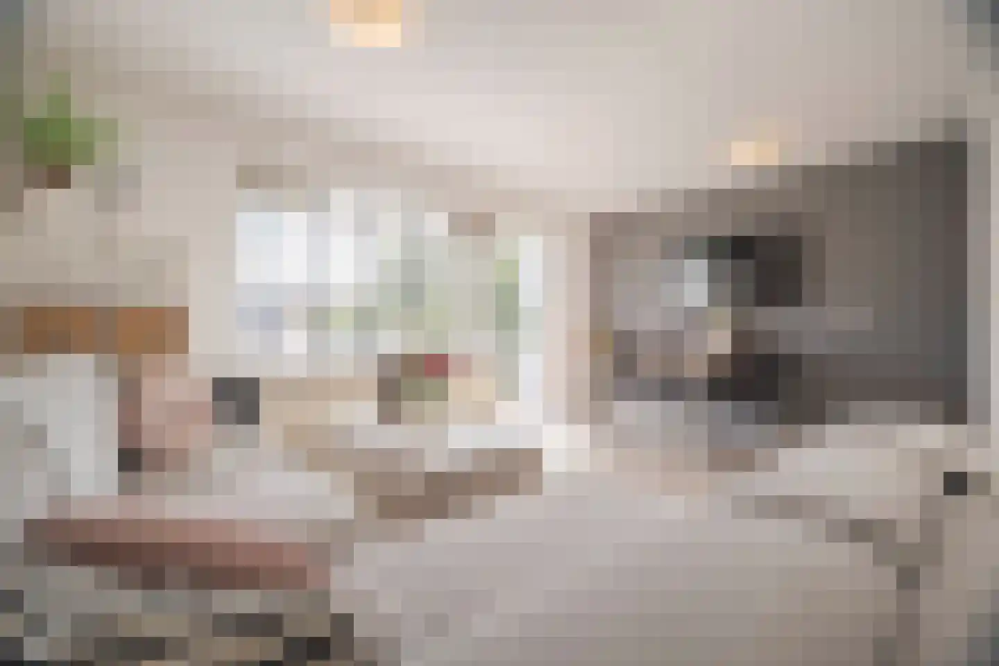 Het Nieuwe Land 19 Arnhem thumbnail 12