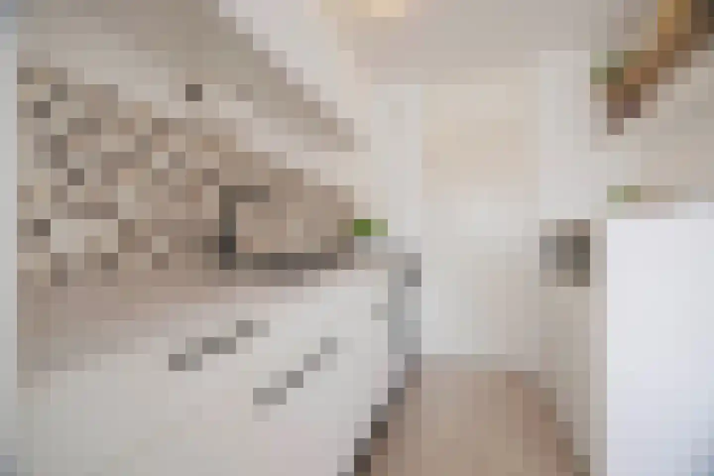 Het Nieuwe Land 19 Arnhem thumbnail 16