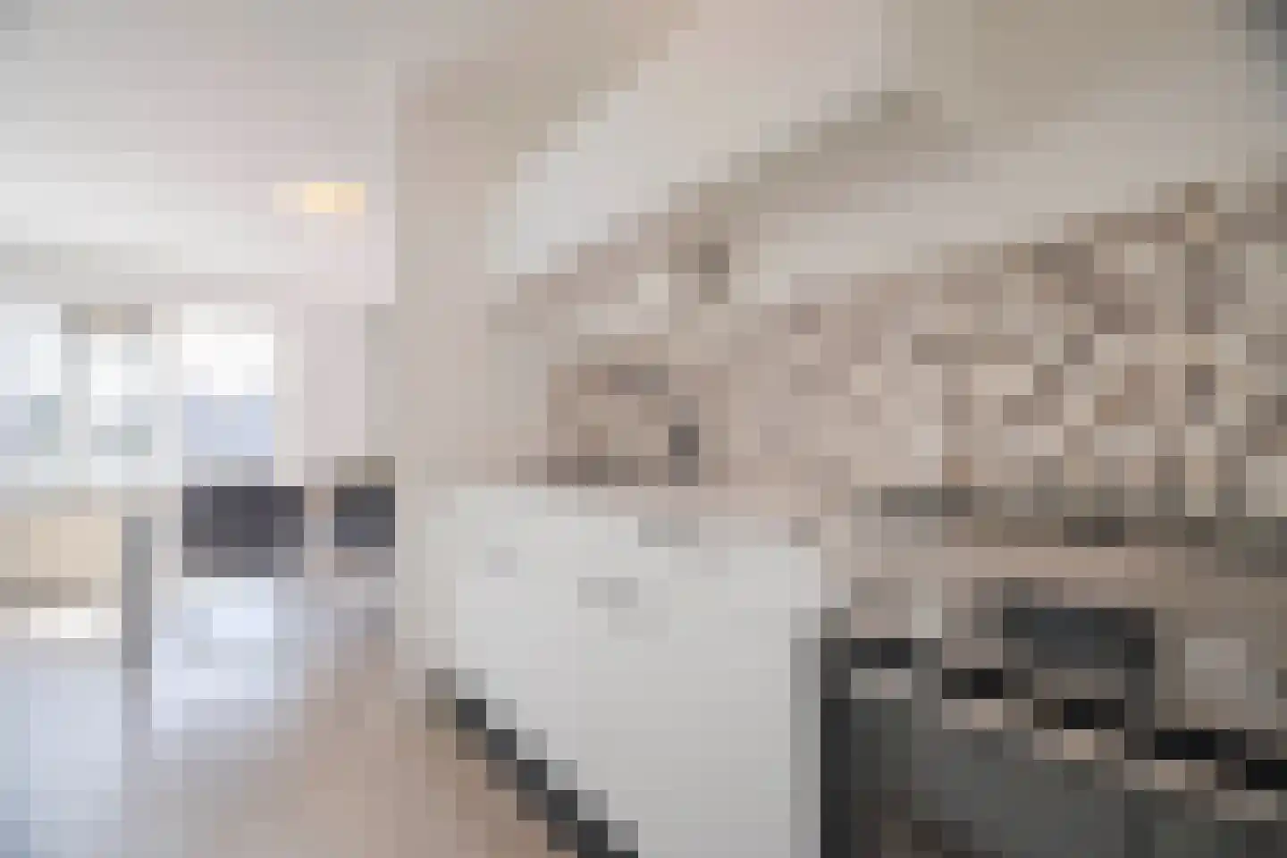 Het Nieuwe Land 19 Arnhem thumbnail 18