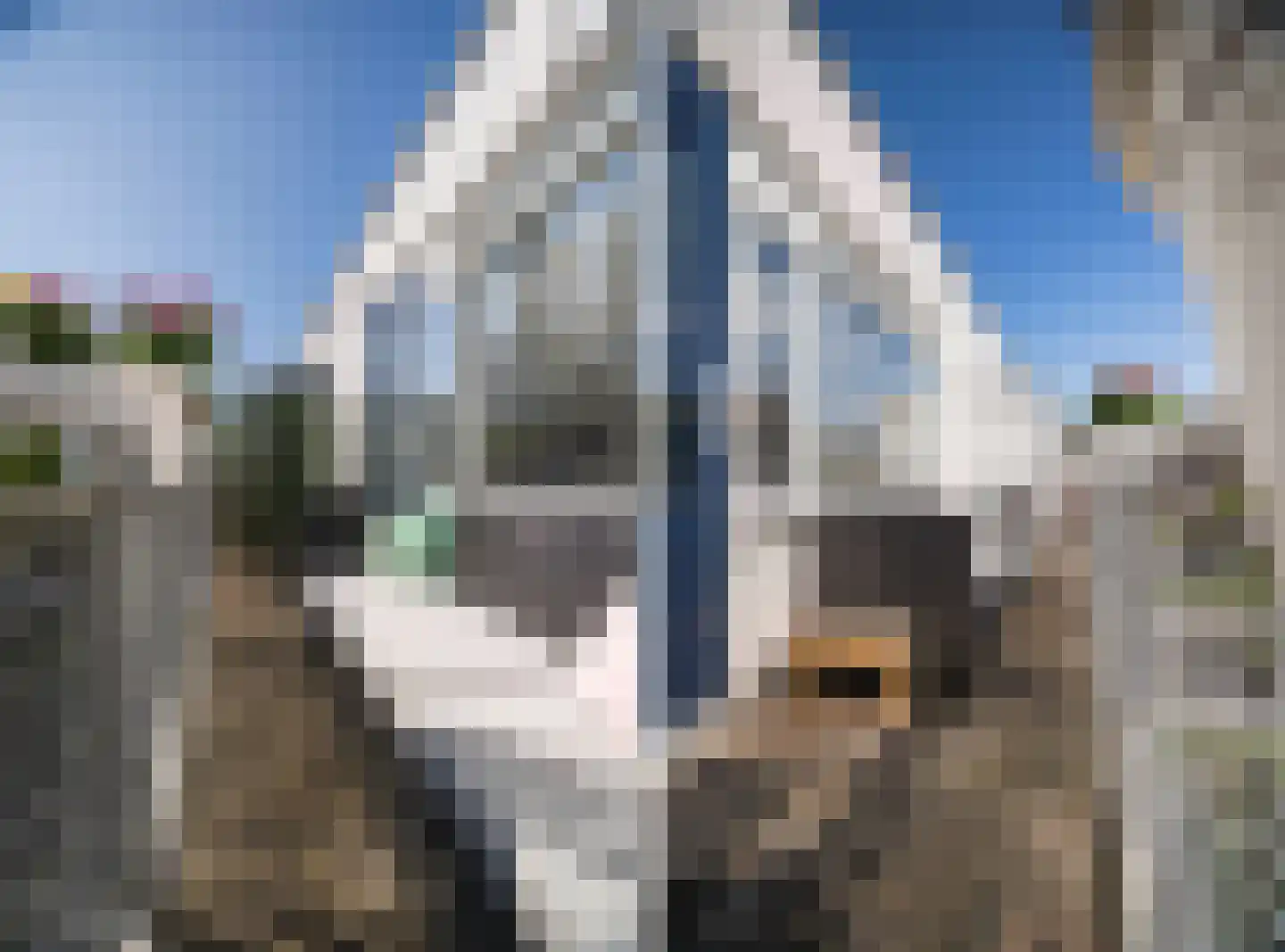 Het Nieuwe Land 19 Arnhem thumbnail 19