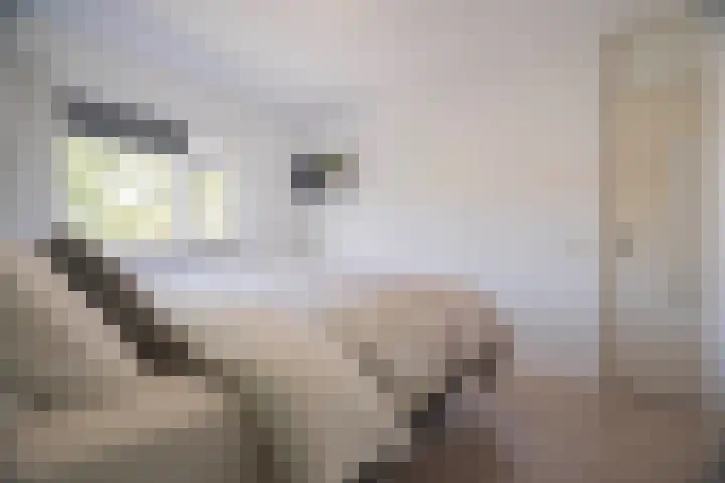 Het Nieuwe Land 19 Arnhem thumbnail 23