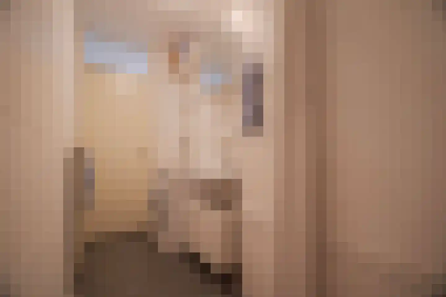 Het Nieuwe Land 19 Arnhem thumbnail 29