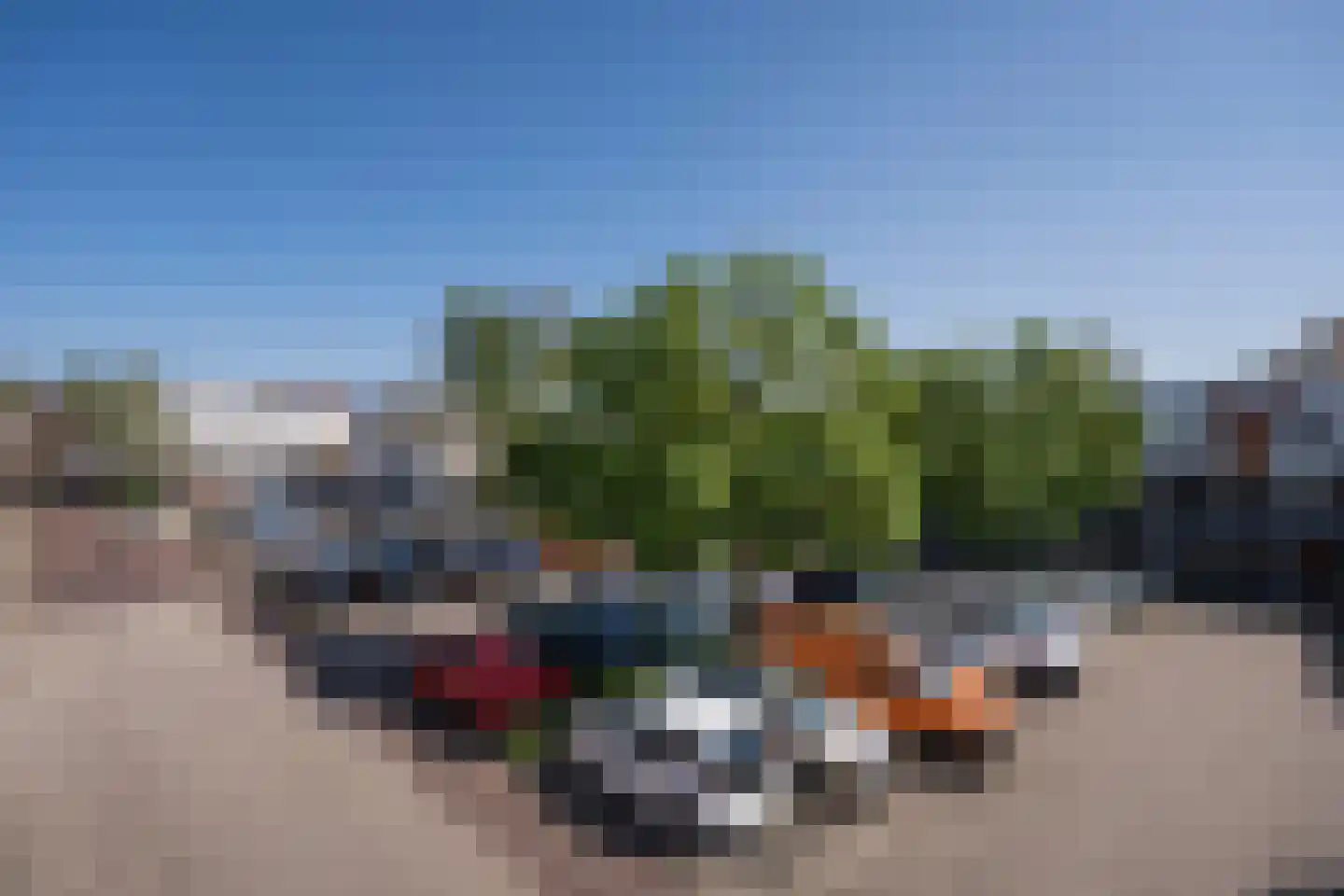 Het Nieuwe Land 19 Arnhem thumbnail 34