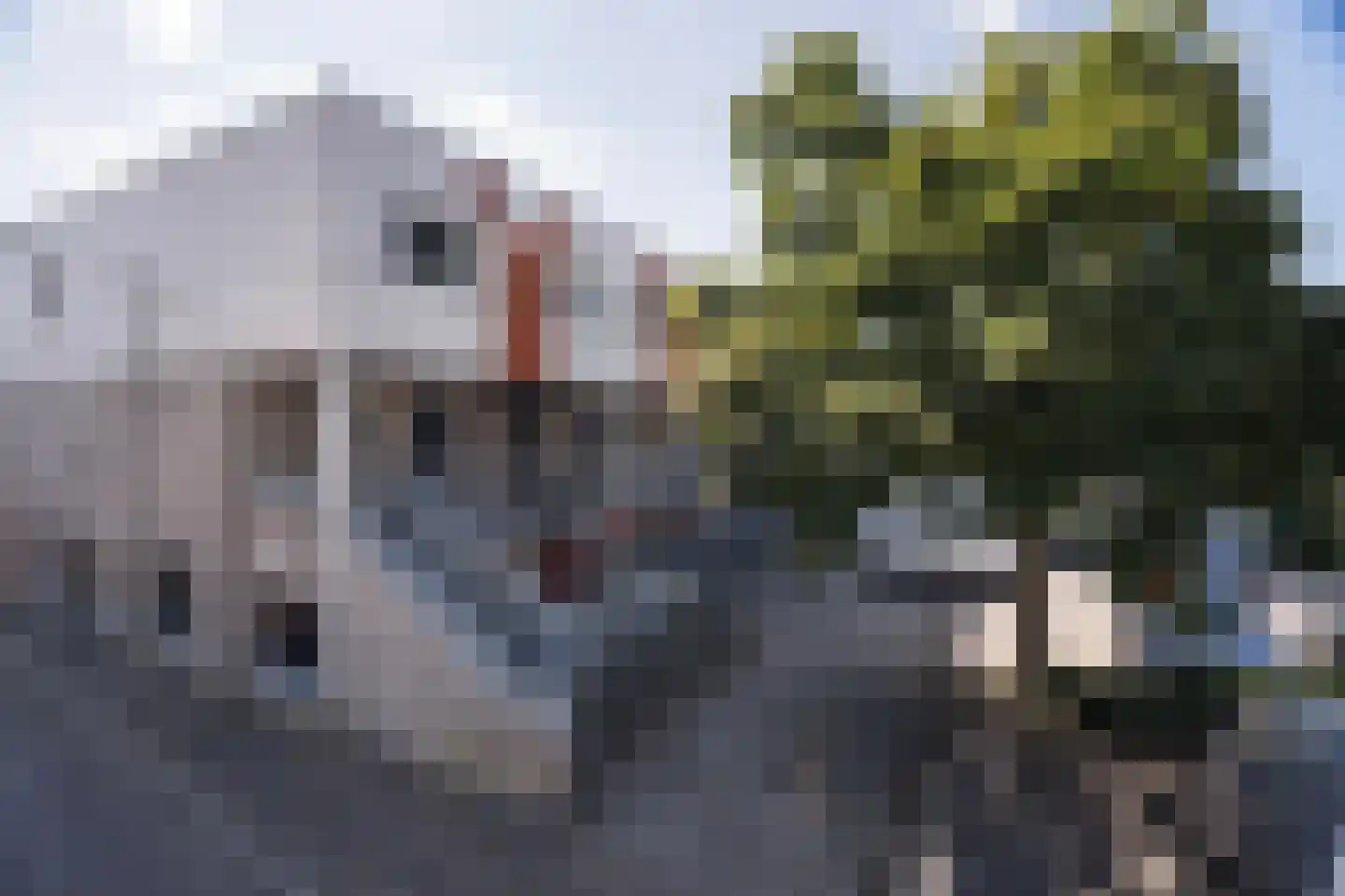 Het Nieuwe Land 19 Arnhem thumbnail 7