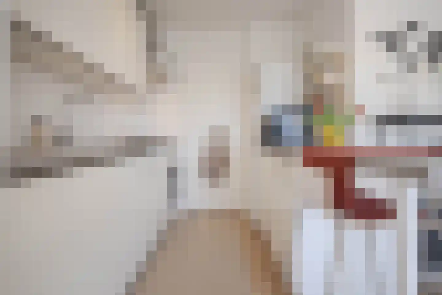 Het Nieuwe Land 27 Arnhem thumbnail 14