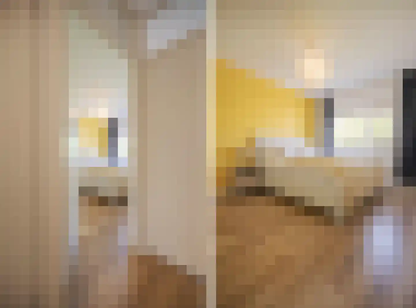 Het Nieuwe Land 27 Arnhem thumbnail 5